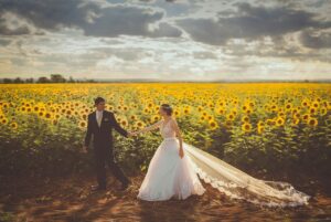 bride, couple, field